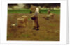 Harvesting Potatoes by Henri Lerolle