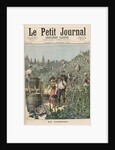The Wine Harvest by Henri Meyer