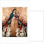 Virgin of the Misericordia by Pietro di Domenico da Montepulciano