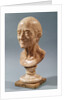 Bust of Voltaire by Francois Marie Rosset