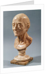 Bust of Voltaire by Francois Marie Rosset