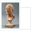 Bust of Voltaire by Francois Marie Rosset