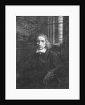 Thomas Jacobsz Haaring the Younger, 1656 by Rembrandt Harmensz. van Rijn