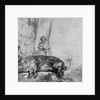 The Sow, 1643 by Rembrandt Harmensz. van Rijn