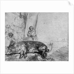 The Sow, 1643 by Rembrandt Harmensz. van Rijn