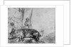 The Sow, 1643 by Rembrandt Harmensz. van Rijn