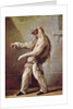 Character from the Commedia dell'Arte by Claude Gillot