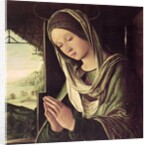 The Nativity, c.1490 by Lorenzo Costa