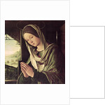 The Nativity, c.1490 by Lorenzo Costa