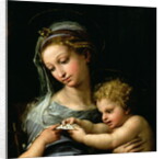 The Virgin of the Rose, c.1518 by Raphael