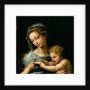 The Virgin of the Rose, c.1518 by Raphael