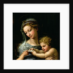 The Virgin of the Rose, c.1518 by Raphael
