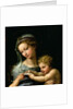 The Virgin of the Rose, c.1518 by Raphael
