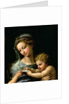 The Virgin of the Rose, c.1518 by Raphael