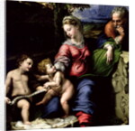 The Holy Family of the Oak Tree, c.1518 by Raphael