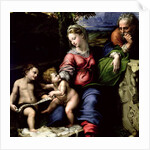 The Holy Family of the Oak Tree, c.1518 by Raphael