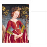 St. George and the Dragon by Jost Haller