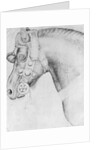 Head of a horse by Antonio Pisanello