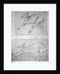 Dead horses by Antonio Pisanello