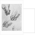 Slashed nostrils of horses by Antonio Pisanello