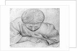 Boy reading by Antonio Pisanello