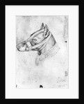 Head of a muzzled dog by Antonio Pisanello