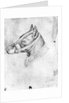 Head of a muzzled dog by Antonio Pisanello