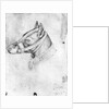 Head of a muzzled dog by Antonio Pisanello