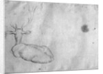Resting stag, seen from behind by Antonio Pisanello