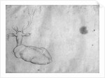 Resting stag, seen from behind by Antonio Pisanello