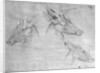 Two heads of stags, one head of a doe by Antonio Pisanello