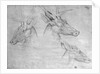 Two heads of stags, one head of a doe by Antonio Pisanello