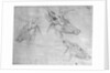 Two heads of stags, one head of a doe by Antonio Pisanello