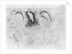 Fourteen egrets by Antonio Pisanello