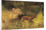 Stag Running through a Wood, c.1865 by Gustave Courbet