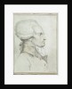 Portrait of Maximilien de Robespierre by Jean Michel the Younger Moreau