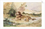 A Lion in the Desert, 1834 by Ferdinand Victor Eugene Delacroix