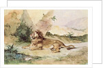 A Lion in the Desert, 1834 by Ferdinand Victor Eugene Delacroix