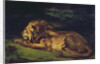 Lion Resting by Ferdinand Victor Eugene Delacroix