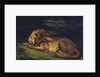 Lion Resting by Ferdinand Victor Eugene Delacroix