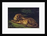 Lion Resting by Ferdinand Victor Eugene Delacroix