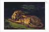 Lion Resting by Ferdinand Victor Eugene Delacroix