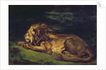 Lion Resting by Ferdinand Victor Eugene Delacroix