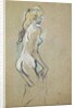Nude Young Girl, 1893 by Henri de Toulouse-Lautrec