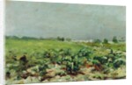 Celeyran, View of the Vineyard, 1880 by Henri de Toulouse-Lautrec