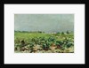 Celeyran, View of the Vineyard, 1880 by Henri de Toulouse-Lautrec