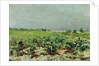 Celeyran, View of the Vineyard, 1880 by Henri de Toulouse-Lautrec