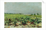 Celeyran, View of the Vineyard, 1880 by Henri de Toulouse-Lautrec