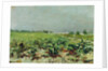 Celeyran, View of the Vineyard, 1880 by Henri de Toulouse-Lautrec