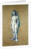 Standing Female Nude, 1898 by Henri de Toulouse-Lautrec